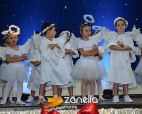 ZAN_9554