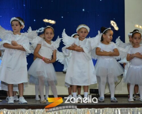 ZAN_9557