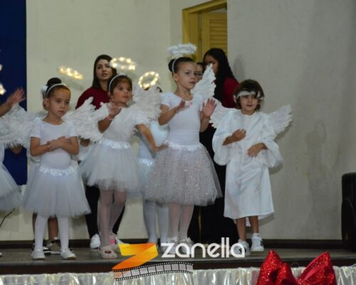 ZAN_9560