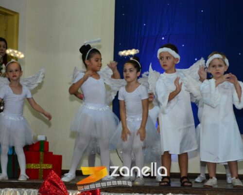 ZAN_9561