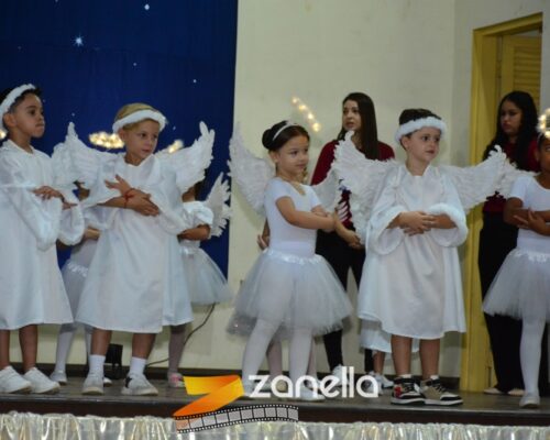 ZAN_9568