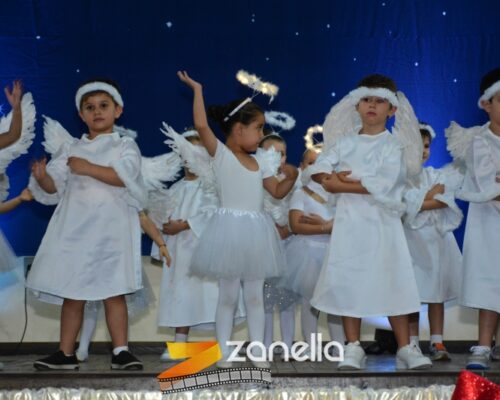 ZAN_9571
