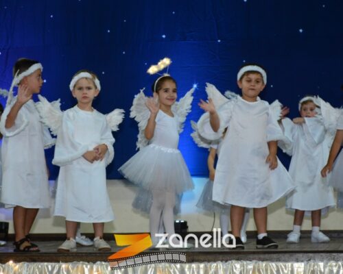 ZAN_9579