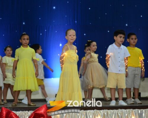 ZAN_9584