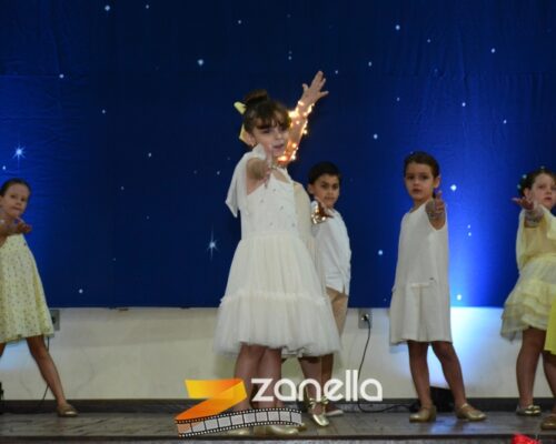 ZAN_9593