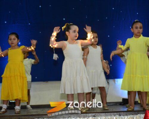 ZAN_9611