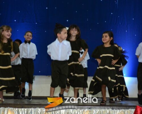 ZAN_9678