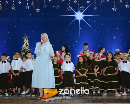 ZAN_9884